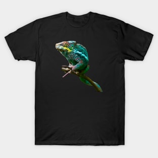 Chameleon / Swiss Artwork Photography T-Shirt